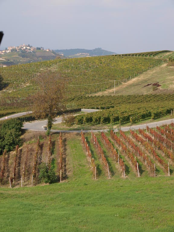 مبيت وإفطار Neviglie La Terrazza Del Barbaresco المظهر الخارجي الصورة