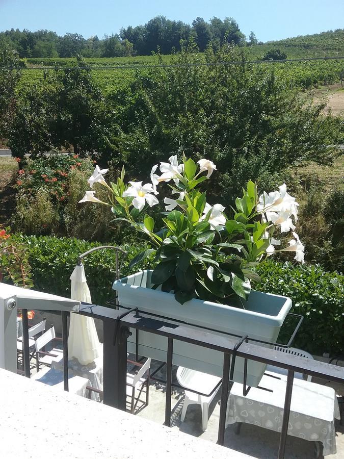 مبيت وإفطار Neviglie La Terrazza Del Barbaresco المظهر الخارجي الصورة