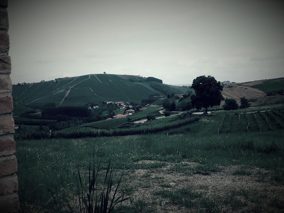 مبيت وإفطار Neviglie La Terrazza Del Barbaresco المظهر الخارجي الصورة